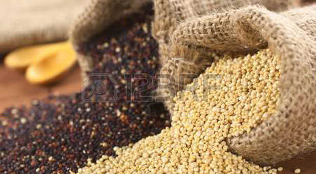 quinoa
