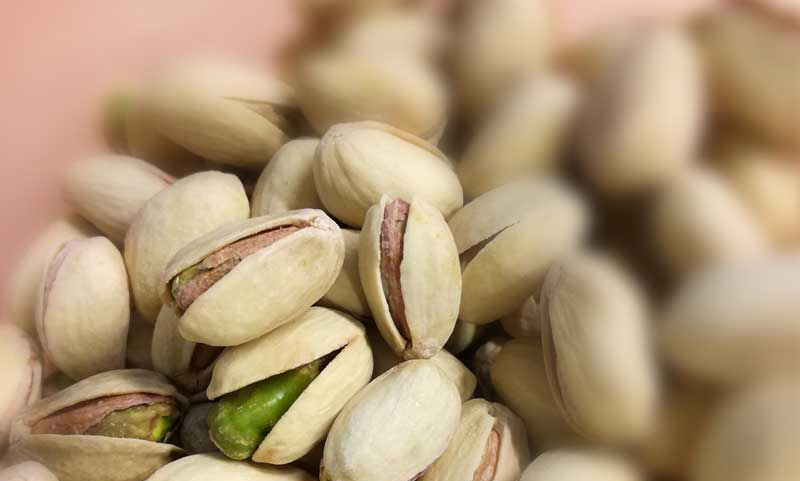 pistacchi