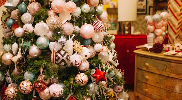 christmas-tree-PKMKQ2V-(1)