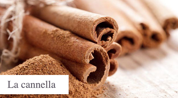 cannella-2