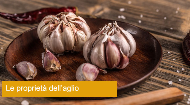 garlic-PYYRGNR