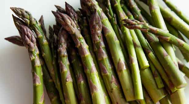 asparagi-6-800x600
