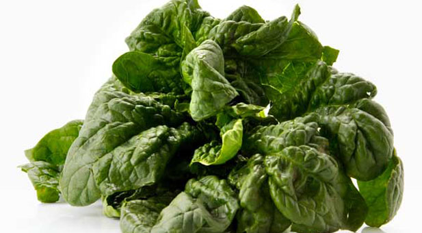 spinaci
