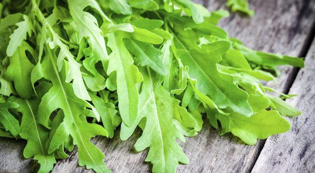 rucola-benefici