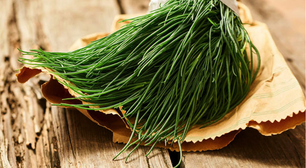 agretti