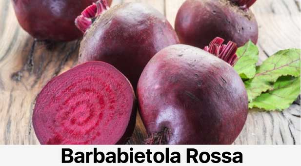 barbabietola
