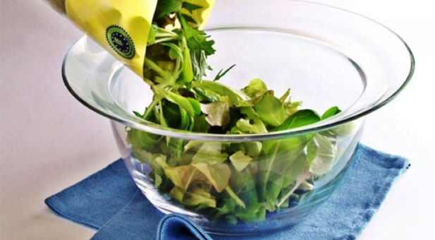 insalata