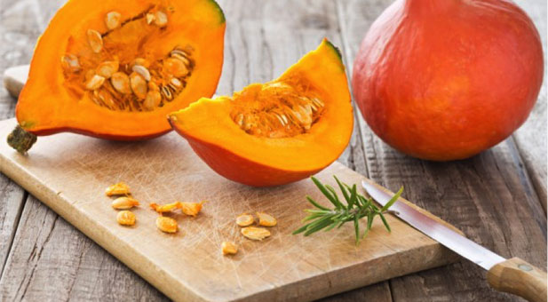 zucca