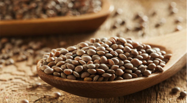lenticchie