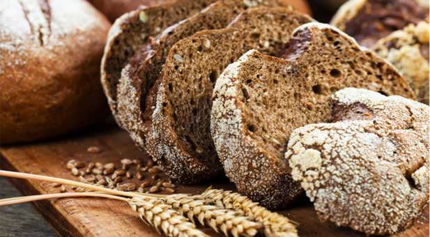 pane-segale