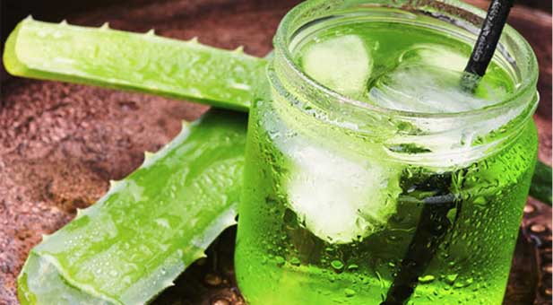 aloe-bere