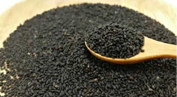basilico