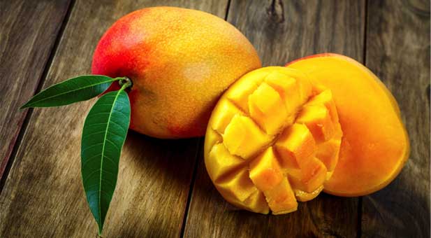 mango