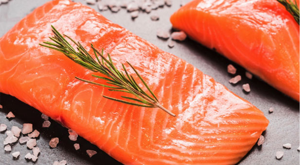 salmone