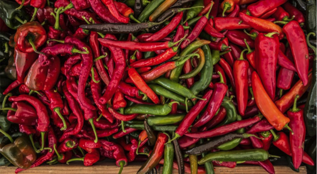 peperoncino