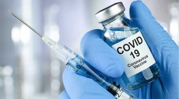 cibi-covid