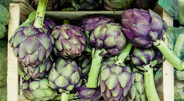 carciofi