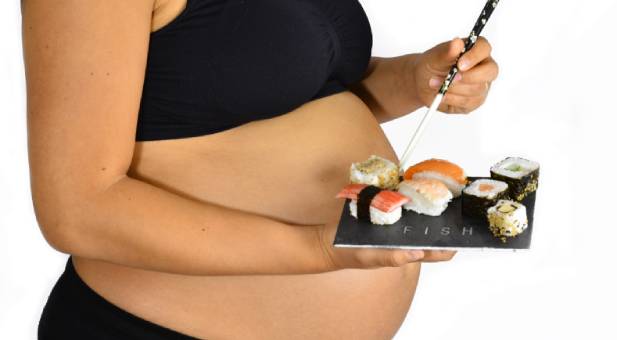 sushigrav