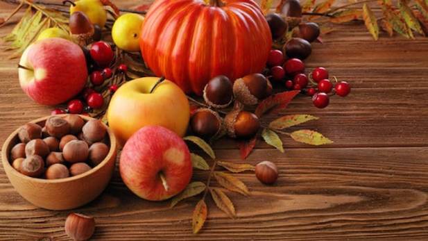 cibi-autunno